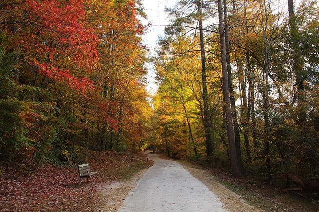 Winter is Coming Fall path
