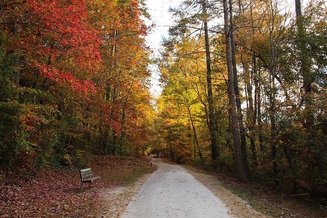 Fall path